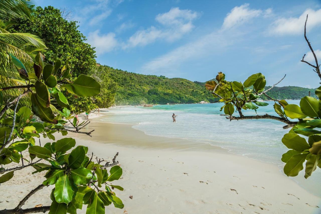 Lou Lou Bungalow Grand Anse  Eksteriør bilde