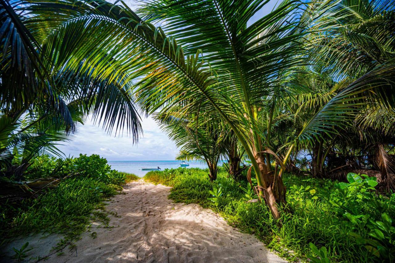 Lou Lou Bungalow Grand Anse  Eksteriør bilde
