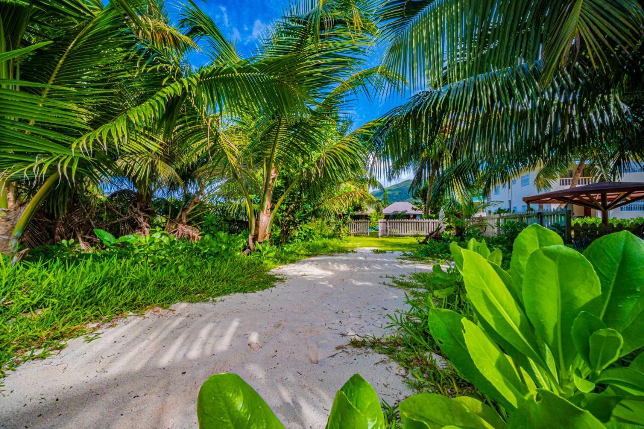 Lou Lou Bungalow Grand Anse  Eksteriør bilde